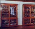 Sezione naturalistica : le vetrine originali di Venturini, contenenti fossili, conchiglie e minerali