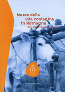 Copertina Copertina