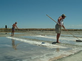 Le saline