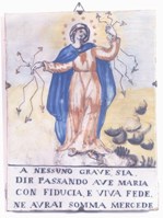 Museo San Rocco di Fusignano Museo San Rocco di Fusignano